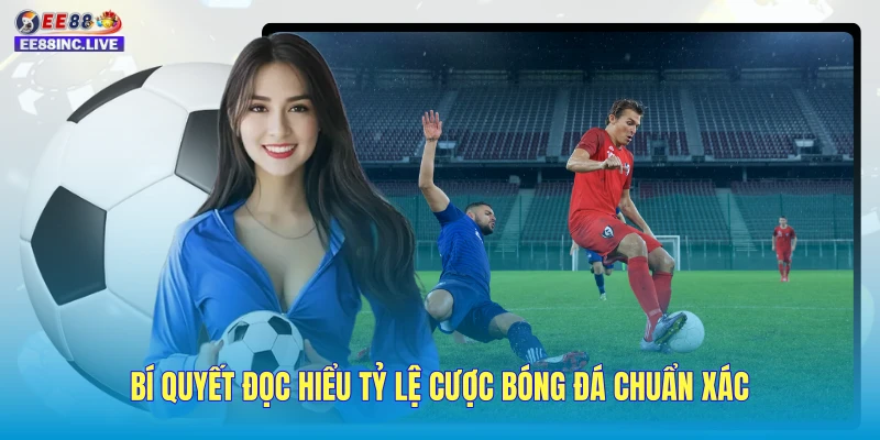 Bí quyết đọc hiểu tỷ lệ cược bóng đá chuẩn xác