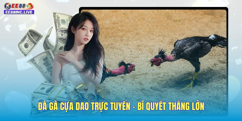 Đá Gà Cựa Dao Trực Tuyến - Bí Quyết Thắng Lớn Cho Sư Kê