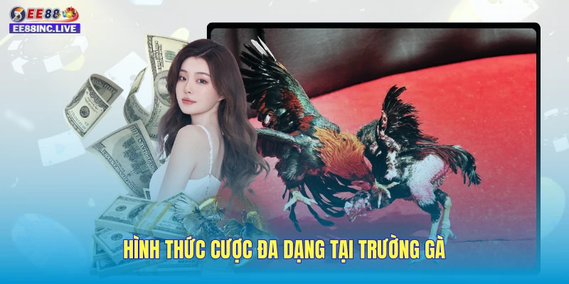 Hình thức cược đa dạng tại trường gà