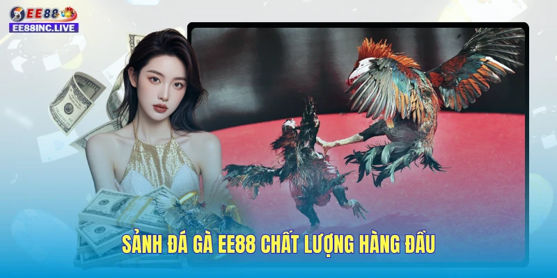 Sảnh đá gà EE88 chất lượng hàng đầu