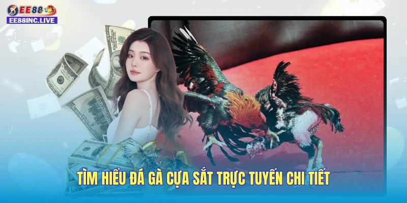 Tìm hiểu đá gà cựa sắt trực tuyến chi tiết