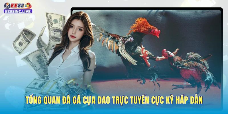 Tổng quan đá gà cựa dao trực tuyến cực kỳ hấp dẫn