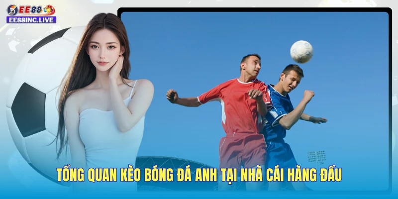 Tổng quan kèo bóng đá Anh tại nhà cái hàng đầu