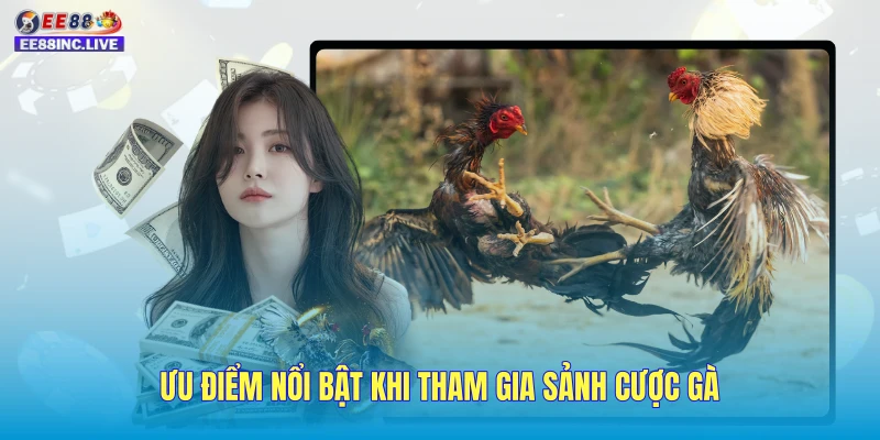 Ưu điểm nổi bật khi tham gia sảnh cược